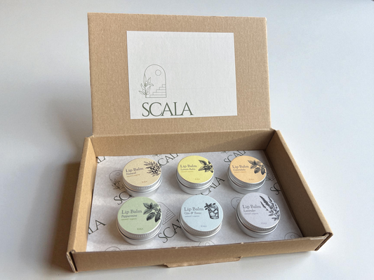 Geschenkbox Premium – 6 Lippenbalsame