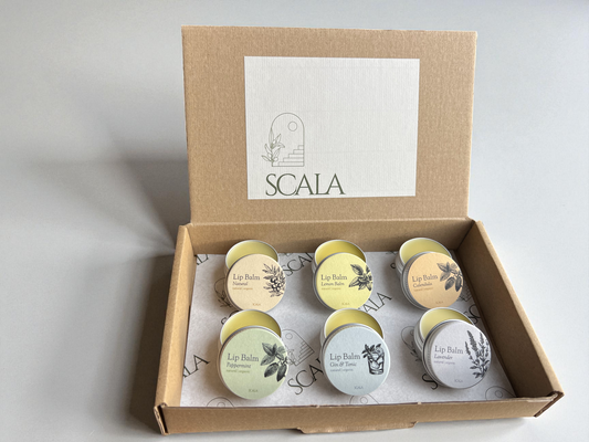 Geschenkbox Premium – 6 Lippenbalsame