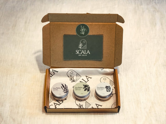 Gift box classic - 3 lip balms