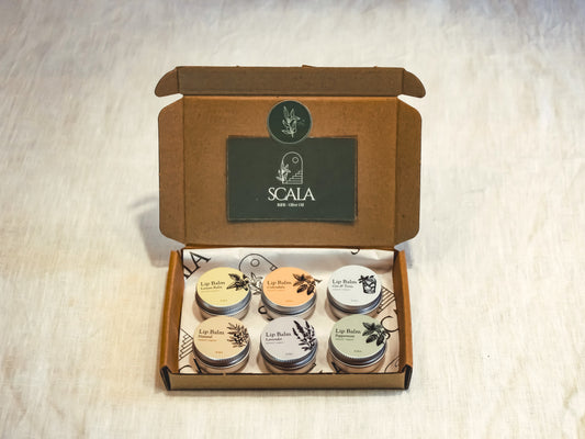 Gift box premium - 6 lip balms