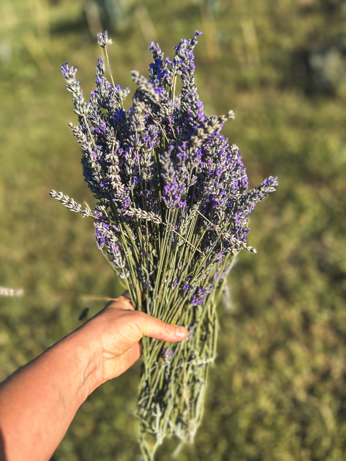 Natural skincare