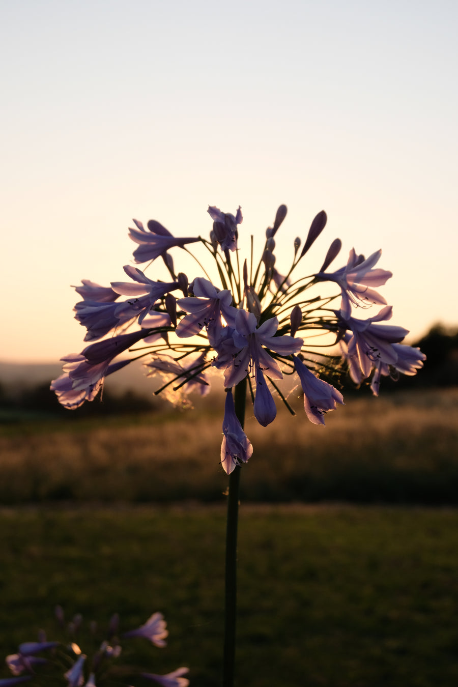 Agriturismo Scala - Eco Boutique B&B and organic farm