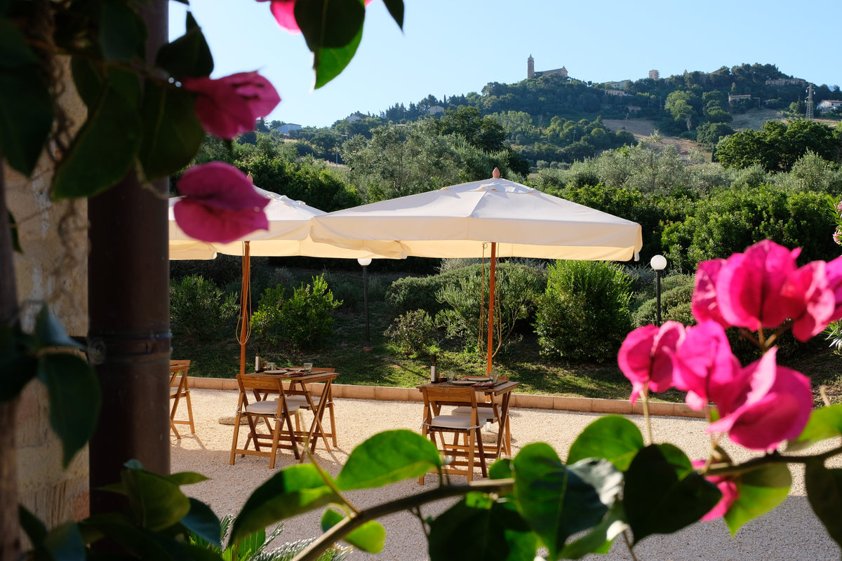 Agriturismo Scala - Eco Boutique B&B and organic farm